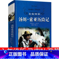 汤姆索亚历险记 [正版]译林出版社 爱丽丝漫游奇境六年级下册快乐读书吧 爱丽丝漫游仙境 人民教育文学 刘易斯·卡罗尔著原