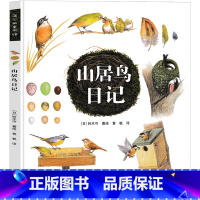 山居鸟日记 [正版]山居鸟日记 绘本 四年级课外书 铃木守 著绘 贵州人民出版社 小学生老师阅读书籍少儿图书儿童读物 非