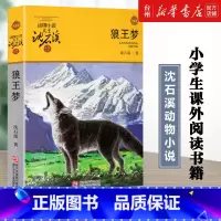 单本 [正版]书店狼王梦沈石溪动物小说典藏收藏全本少儿文学读物寓言故事书7-10-12-14岁儿童文学青少年课外读物