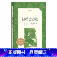 单本全册 [正版]书店普希金诗选(经典名作口碑版本)/语文阅读丛书 (俄)普希金 书号 9787020137541