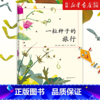 单本全册 [正版]书店一粒种子的旅行(精)儿童读物/童书绘本/图画书/少儿动漫书(德)安妮默勒南海出版带给孩子和父母们绝
