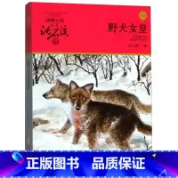 动物小说大王沈石溪.品藏书系:野犬女皇 [正版]书店野犬女皇(升级版)/动物小说大王沈石溪品藏书系沈石溪 动物小说大王沈