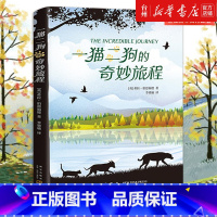 单本 [正版]书店一猫二狗的奇妙旅程 希拉·伯恩福德 新星出版社 汪欣李梁瑜文学馆外国儿童文学 亲子阅读课外书籍读本