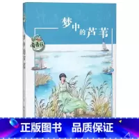 梦中的芦苇/黄蓓佳儿童文学系列 [正版]梦中的芦苇/黄蓓佳儿童文学系列