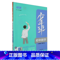 少年班.八年级数学 八年级 [正版]少年班.八年级数学:RJ.下