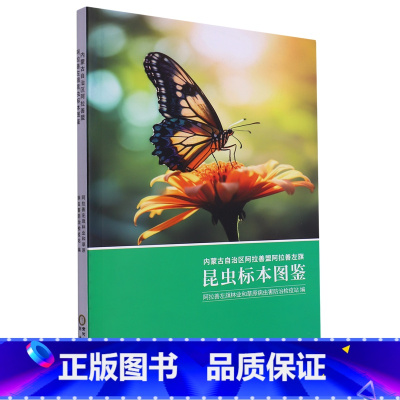 内蒙古自治区阿拉善盟阿拉善左旗昆虫标本图鉴 [正版]内蒙古自治区阿拉善盟阿拉善左旗昆虫标本图鉴