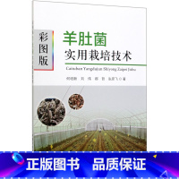 彩图版羊肚菌实用栽培技术 [正版]彩图版羊肚菌实用栽培技术