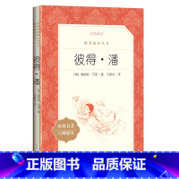 单本全册 初中通用 [正版]书店彼得·潘(经典名著口碑版本)/语文阅读丛书 (英)詹姆斯·巴里 人民文学出版社 亲子阅读