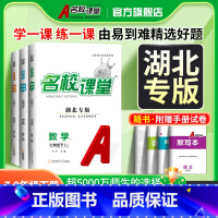 英语[听力].人教版 七年级下 [正版]2025/24湖北专版语文数学英语物理化学道德与法治历史地理生物七八九年级下册人