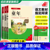 [3本]六年级上册读书吧全套 [正版]三阶梯阅读鲁滨逊漂流记快乐读书吧六年级下册小学必读课外阅读书籍汤姆索亚历险记儿童文