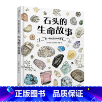 石头的生命故事 [正版]浪花朵朵 盛口满的手绘自然图鉴7册任选 水果的秘密蔬菜的植物学 7-10岁 日本童书研究会 儿童