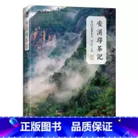 [正版]感恩 安溪寻茶记名山名茶名人 品味安溪铁观音山头香 福建喝茶品茶茶道文化书籍
