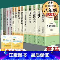 全套13本]八年级上下册人教名著+傅雷+苏菲+平凡的世界 [正版]飞向太空港寂静的春天星星离我们有多远傅雷家书钢铁是怎样