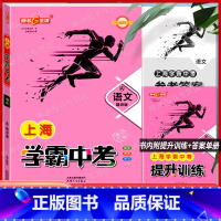 [正版]钟书金牌上海中考总复习 语文 精讲版 学霸中考 初三九年级中考语文冲刺总复习强化训练初中九年级考试强化训练参考