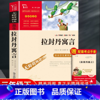 拉封丹寓言-彩插励志版-南方出版社 [正版]拉封丹寓言 三年级下册必读的课外书快乐读书吧3下学期经典书目老师故事小学生二