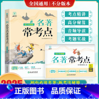 必背名著常考点 [正版]8分钟必背名著常考点初中通用 名著导读考点精练初中生中考必读12本名著考点手册一本通十二知识点手