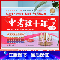 语文 [正版]2025新版中考这十年语文含详解答案 2024-2015上海中考十年试卷汇编历年真题权威精编复习上海市初中