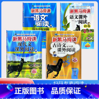 古诗文+现代文+课外阅读训练A版+阅读同步拓展训练 A版[4本] 小学二年级 [正版]2024新黑马阅读二年级 现代文+