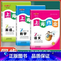 七年级 语文+数学+英语 上册 七年级/初中一年级 [正版]钟书金牌上海作业七年级上下册 语文+数学+英语N版 7年级上