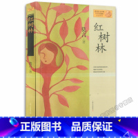 [正版]莫言作品集 红树林 诺贝尔文学奖获得者莫言作品系列 上海文艺 小说 中国当代小说