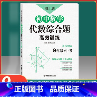 [正版]周计划 初中数学代数综合题 高效训练 9年级+中考 答案详解版 九年级初中数学代数综合题高效训练 中考真题模拟