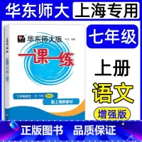 语文增强版 七年级上 [正版]华东师大版一课一练 七年级语文增强版 第一学期 统编版配套中学7年级上海版 教辅图书附答案