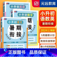 小升初 语数英 全3本 [正版]小升初暑假衔接语文数学英语暑期衔接名校小升初真题卷同步基础知识梳理阅读技巧掌握小升初总复