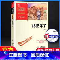 [正版]骆驼祥子 智慧熊 中小学中小学生阅读指导丛书 老舍著 彩插励志版无障碍阅读 小学生阅读经典名著课外教辅书 商务