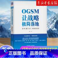 [正版]OGSM让战略极简落地1页纸+6个会议将战略直抓到底袁园管理技巧工具书战略落地实操手册中国创业实践实用工具