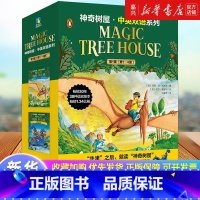 神奇树屋中英双语系列(第1辑1-4共4册) [正版]书店 书籍神奇树屋1-4册套装 英文原版Magic Tree Hou