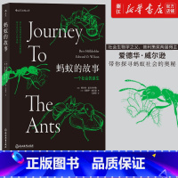[正版]书店 蚂蚁的故事 插图普利策奖书目灵感动物科普百科生物多样性昆虫研究书籍 后浪 书店书籍