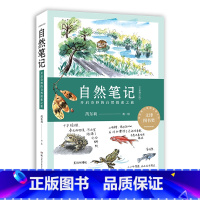 [正版]自然笔记(开启奇妙的自然探索之旅全新增订版)