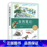 [正版]自然笔记(开启奇妙的自然探索之旅全新增订版)