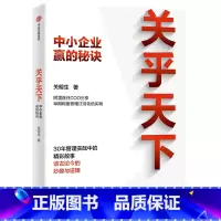 [正版]关乎天下(中小企业赢的秘诀) 中小企业赢的秘诀 关明生著 阿里管理体系建设者 早期阿里管理正规化实践分享 管理