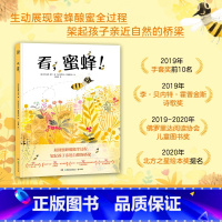 单本全册 [正版]书店 书籍看蜜蜂(精)生动展现蜜蜂酿蜜全过程 架起孩子亲近自然的桥梁 诗意