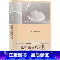 [正版]狐狸在夜晚来临(精)