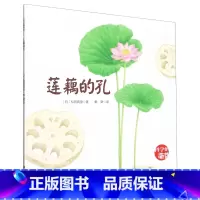 莲藕的孔 [正版]莲藕的孔