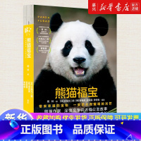 熊猫福宝 [正版]熊猫福宝