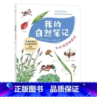 我的自然笔记.和大自然做游戏 [正版]我的自然笔记.和大自然做游戏