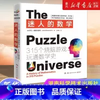 [正版]迷人的数学:315个烧脑游戏玩通数学史2021新版315个经典游戏开发大脑潜能玩通数学史大脑游戏数学思维训练一