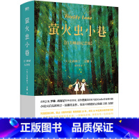 [正版]书店 书籍萤火虫小巷(百万纪念版) 克莉丝汀汉娜 著 一本描写女性友谊的书 外国文学小说书籍