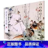 [正版]荣宝斋画谱(239王雪涛绘禽鸟部分)