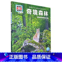 奇境森林 [正版]奇境森林