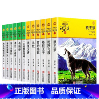 [1-12册]套装 [正版]全套12册完整版沈石溪的动物小说系列全集套装书籍狼王梦小学生三四五六年级儿童文学斑羚飞渡第七
