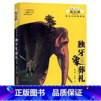 2.独牙象的葬礼 [正版]全套6本完整版雪山狼魂野马奔腾金蟒狂舞猴王荣耀雄鹰绝唱沈石溪的书籍动物小说救助站大王系列四五六