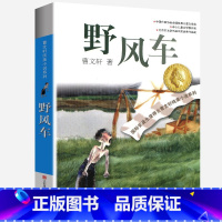 野风车 [正版]完整版野风车曹文轩系列原著纯美小说三4四5五六年级阅读阅读江苏少儿出版社儿童文学的经典图书籍根鸟全套小学