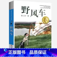 野风车 [正版]完整版野风车曹文轩系列原著纯美小说三4四5五六年级阅读阅读江苏少儿出版社儿童文学的经典图书籍根鸟全套小学