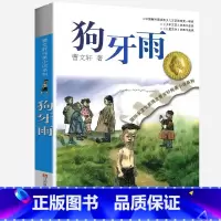 狗牙雨 [正版]完整版狗牙雨曹文轩系列原著纯美小说三4四5五六年级阅读阅读江苏少儿出版社儿童文学的经典图书籍根鸟全套小学