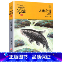 大鱼之道 [正版]完整版大鱼之道全本沈石溪的图书籍动物小说大王品藏系列小学生四五六年级儿童文学作品珍藏大全全集1全套单本