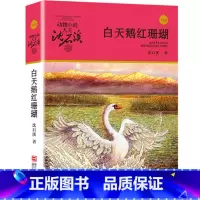 白天鹅红珊瑚 [正版]完整版白天鹅红珊瑚全本沈石溪的图书籍动物小说大王品藏系列小学生四五六年级儿童文学作品珍藏大全全集全